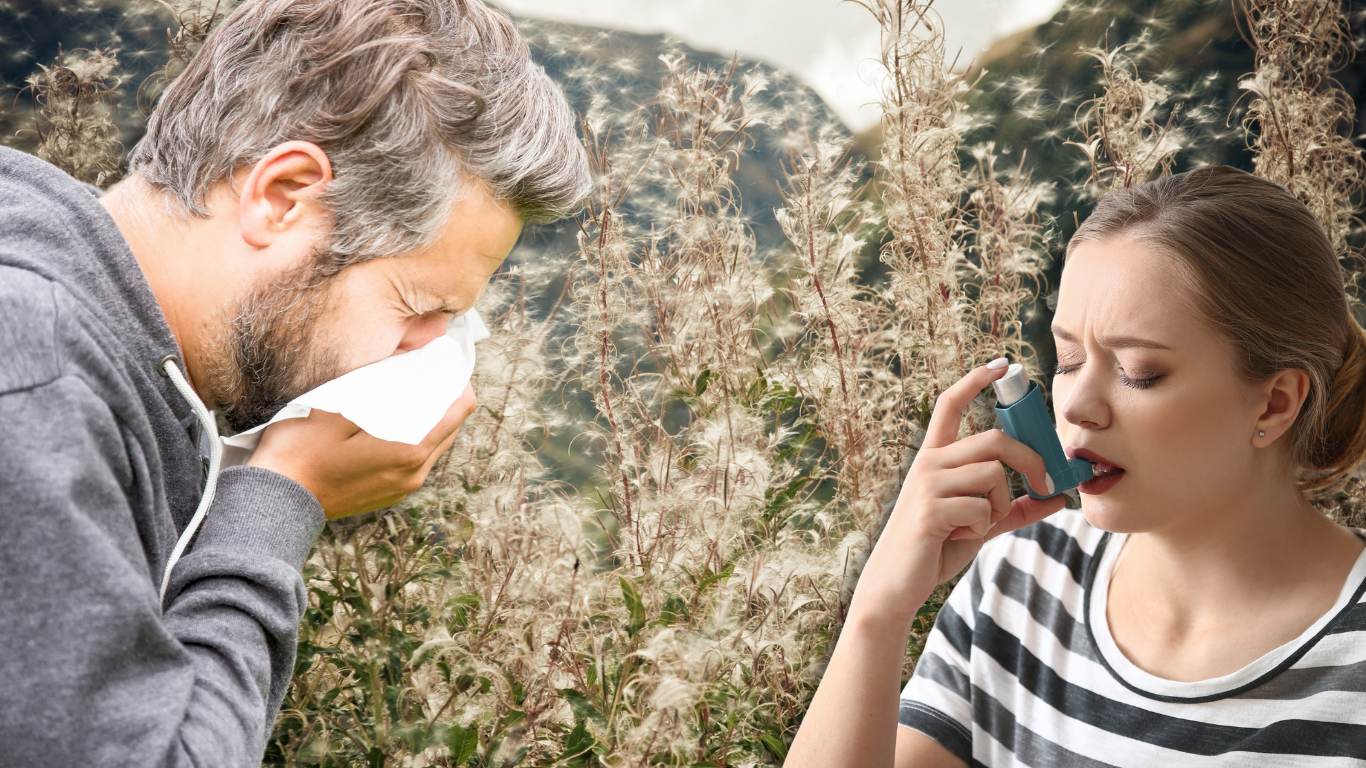 The Asthma & Allergy Kit