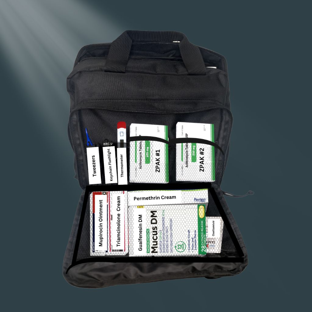 The Ultimate Traveler's Kit survivalscripts
