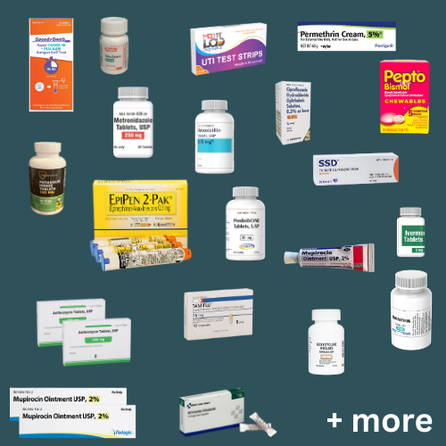 The Rx Only Disaster Preparedness Kit